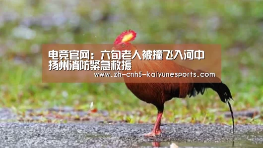 电竞官网:六旬老人被撞飞入河中 扬州消防紧急救援(图1) 电竞官网